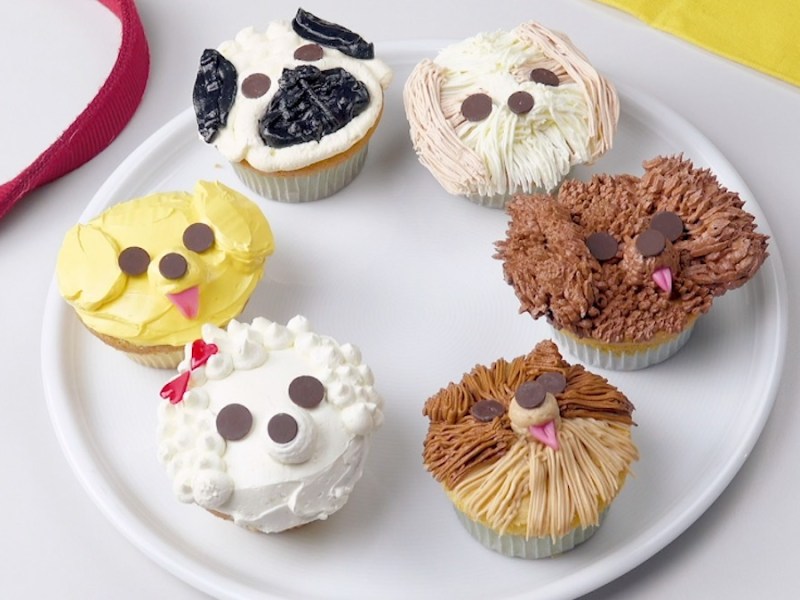6 Cupcakes mit verschiedenen Hundegesichtern auf einem Teller.