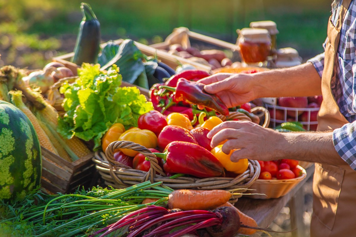 Obst und GemÃ¼se richtig lagern: Frisches Obst und GemÃ¼se wird auf dem Markt verkauft