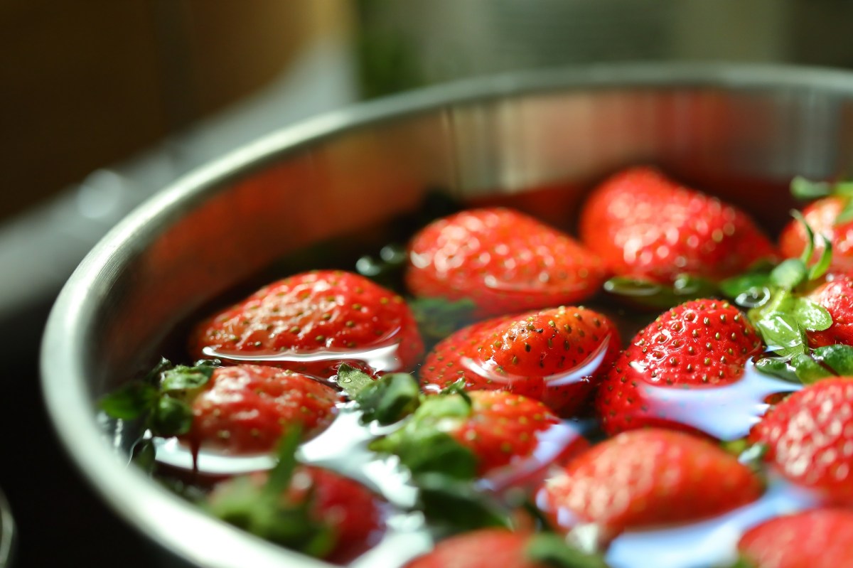 Erdbeeren werden in Salzwasser gewaschen.