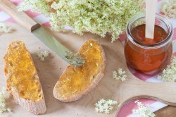 Zwei Brote mit Holunderblüten-Gelee, ein Glas Gelee und Holunderblüten daneben.