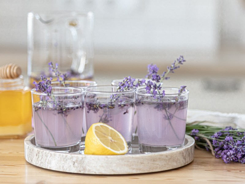 Mehrere Gläser Lavendel-Limonade auf einem Tablett. Lavendelblüten liegen als Dekoration daneben.