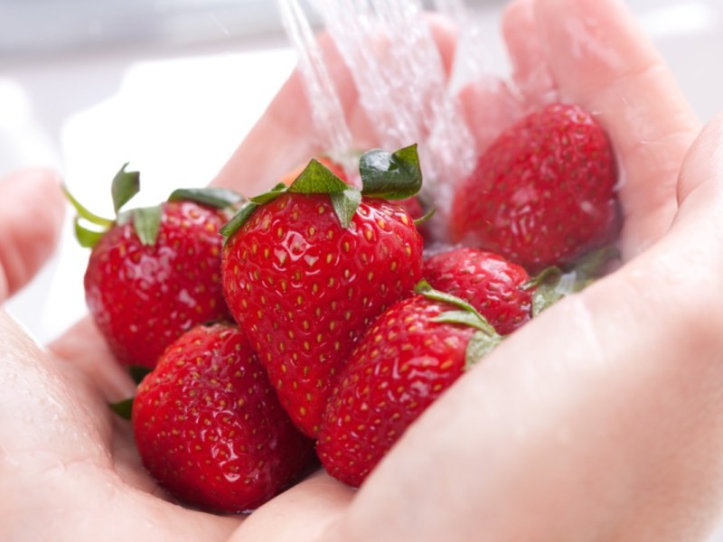 Erdbeeren mit Natron waschen: Erdbeeren werden in zwei Händen unter Wasserhahn gehalten.