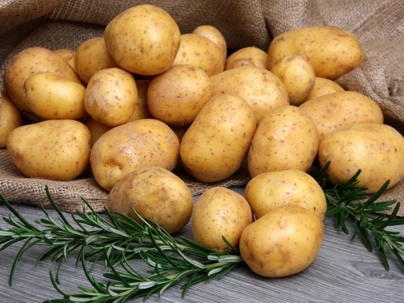 Kartoffeln und Rosmarin in einem Jute-Sack.