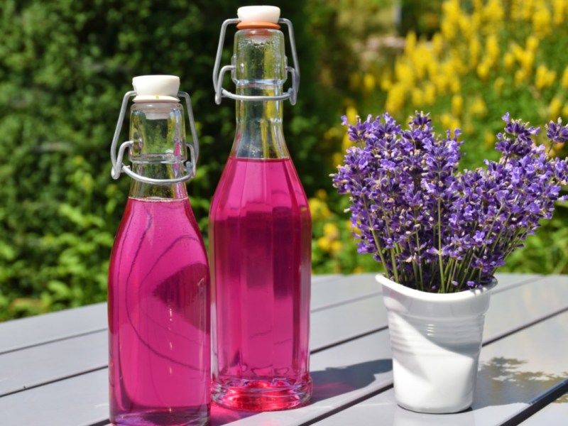 Zwei Flaschen Lavendelsirup neben einer Vase mit frischen Lavendelblüten.