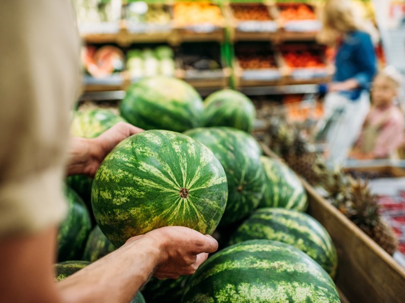 Eine Frau nimmt eine reife Melone aus einem Haufen Wassermelonen im Supermarkt heraus.