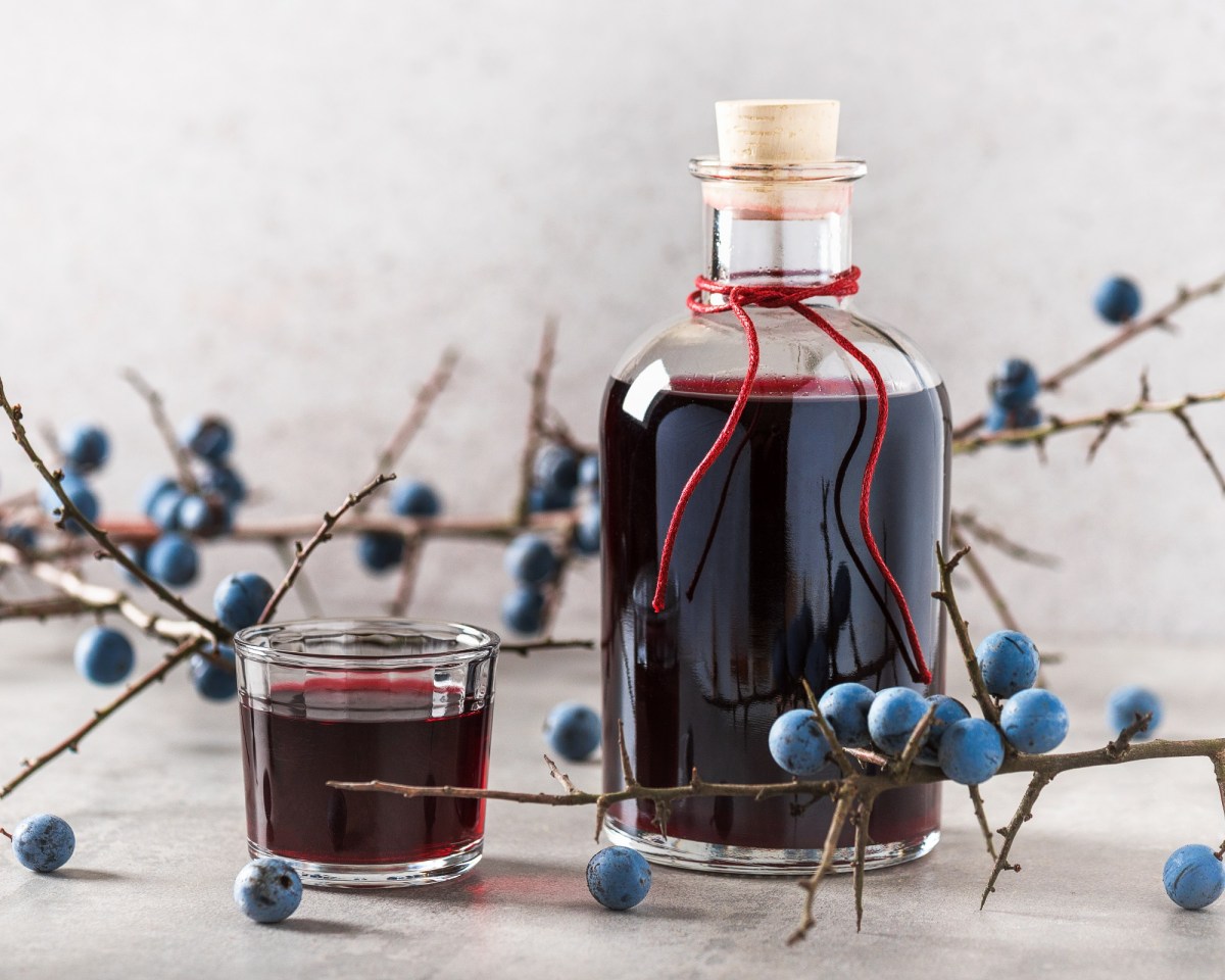 Eine Flasche und ein Glas Schlehen-Gin. Drum herum sind Schlehen-Ã„ste drappiert.