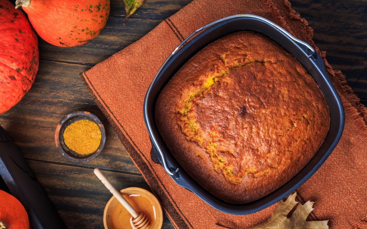 KÃ¼rbis-Apfel-Kuchen aus dem Airfryer in der Draufsicht.