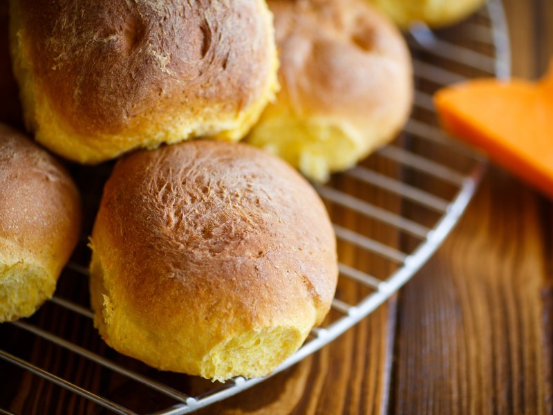 Mehrere KÃ¼rbis-ButtermilchbrÃ¶tchen auf einem Kuchengitter.