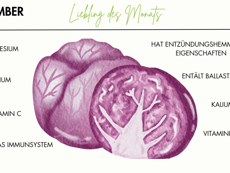 Warenkunde Rotkohl