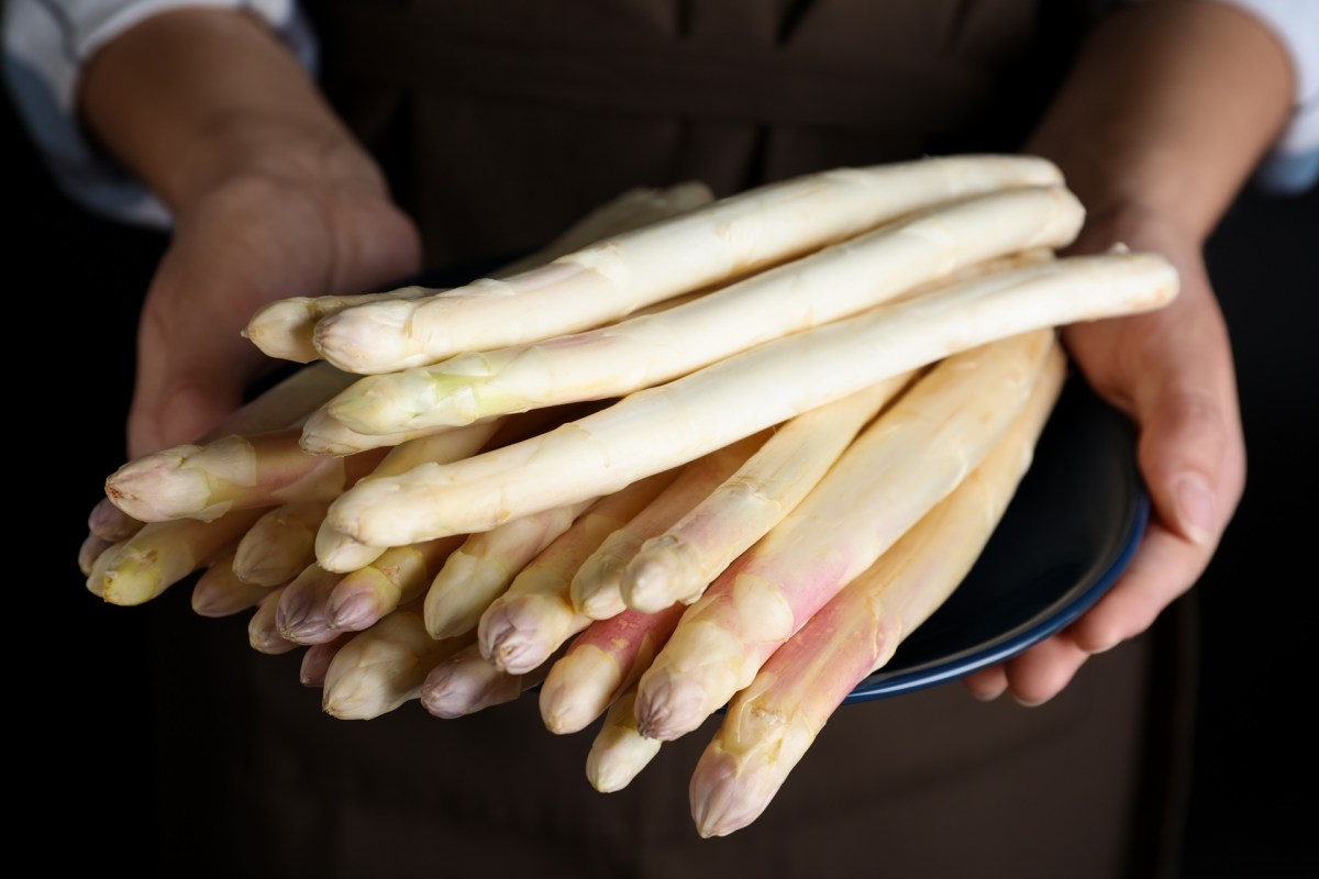Kann man bitteren Spargel essen? Eine Frau hält mehrere Stangen weißen Spargel.